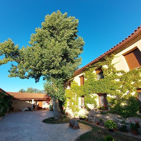 Casa Atenea Zamora Eksteriør bilde